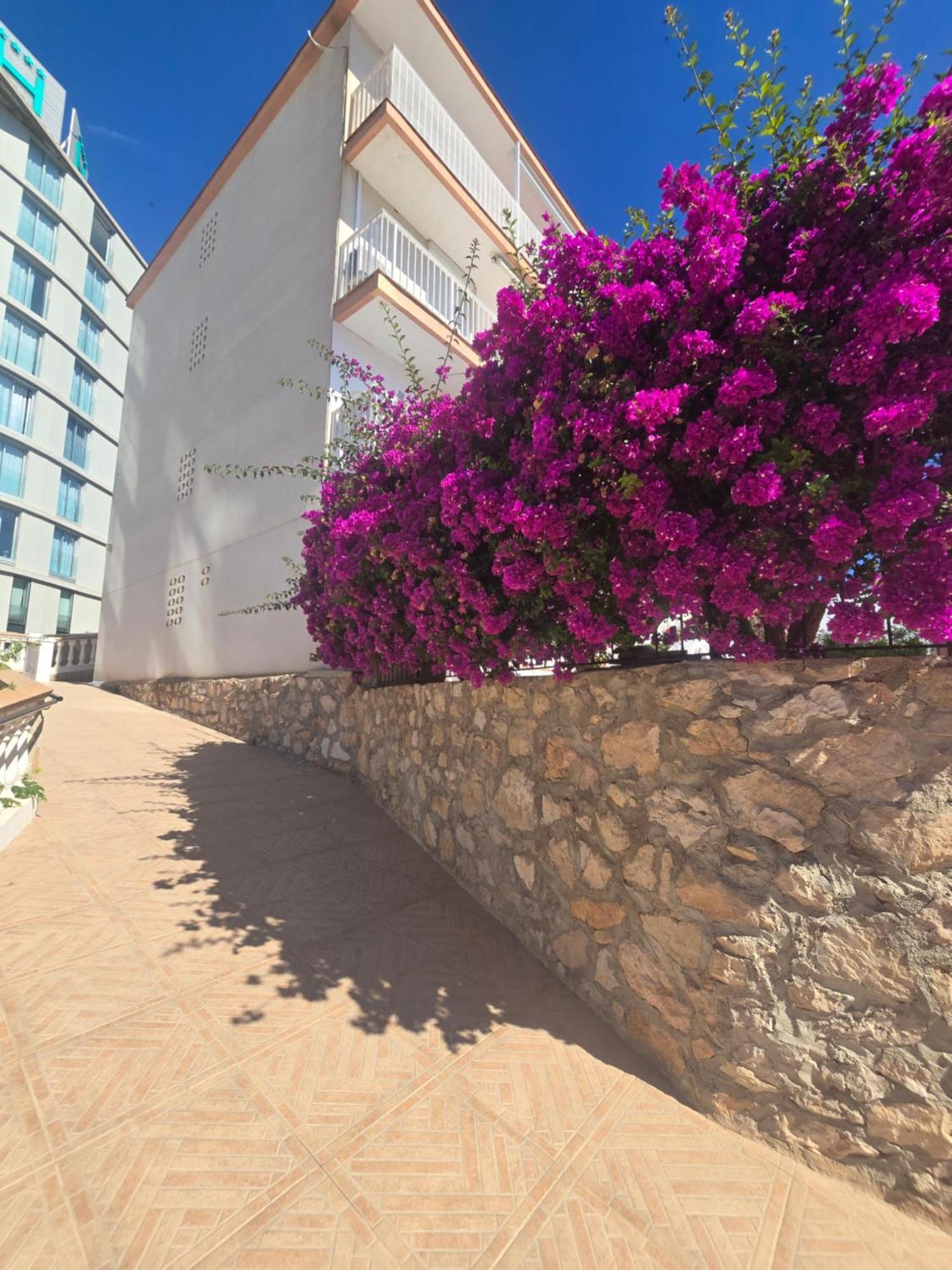 La Cantera Appartement Playa Peniscola Exterior photo